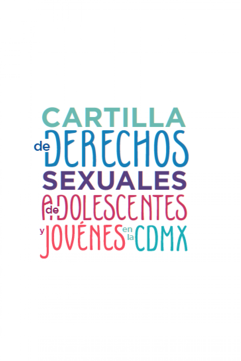 Cartilla De Derechos Sexuales De Adolescentes Y Jóvenes 2018 Web Balance 9208